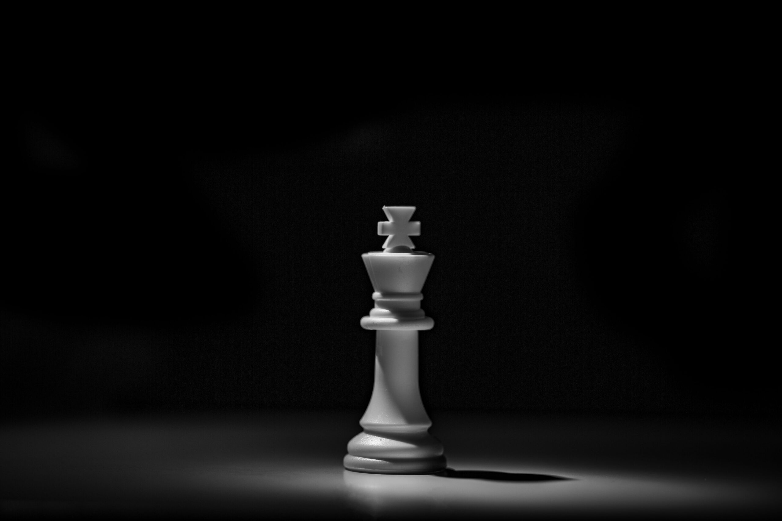 Photo by Hassan Pasha on Unsplash