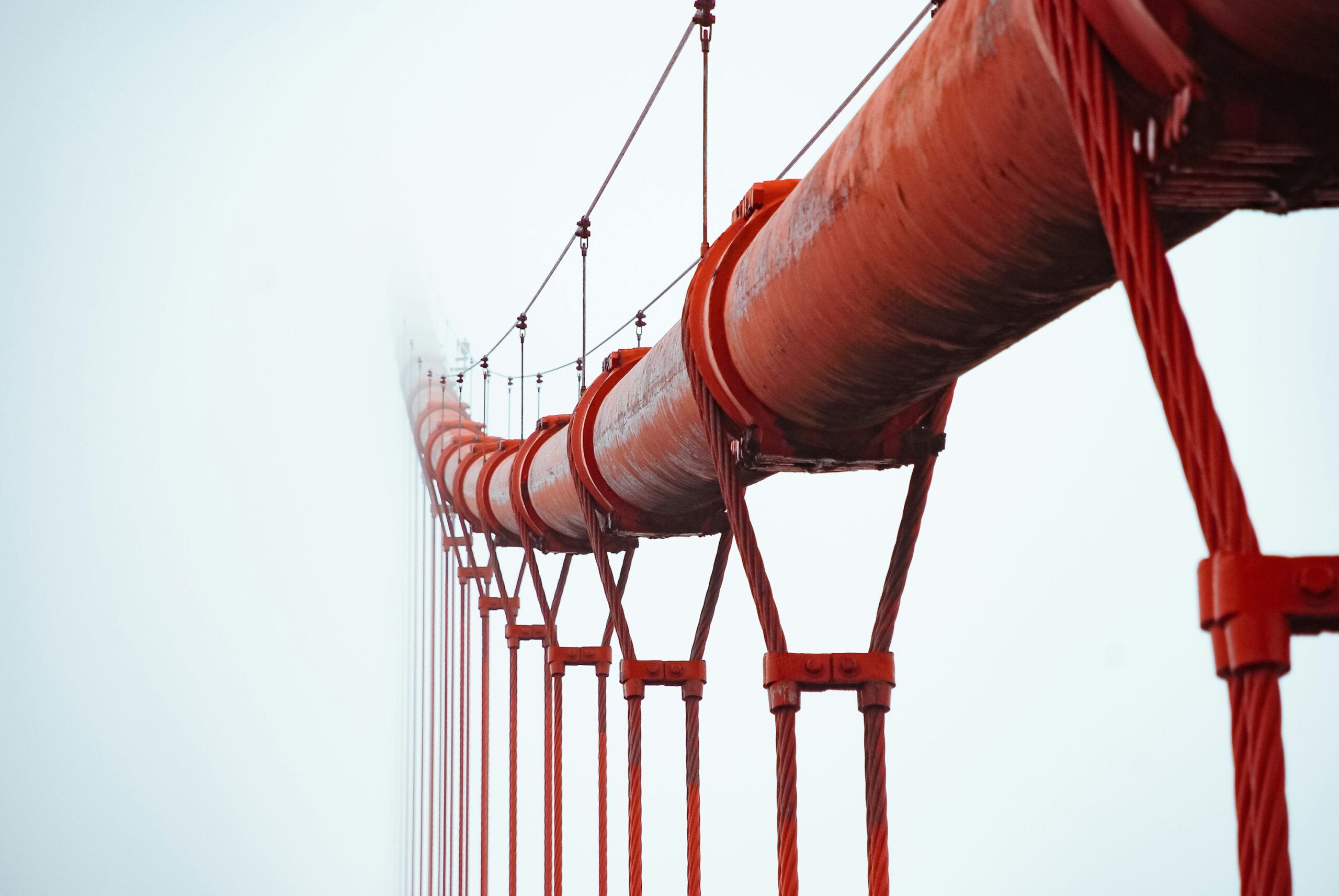 Image by JJ Ying on Unsplash