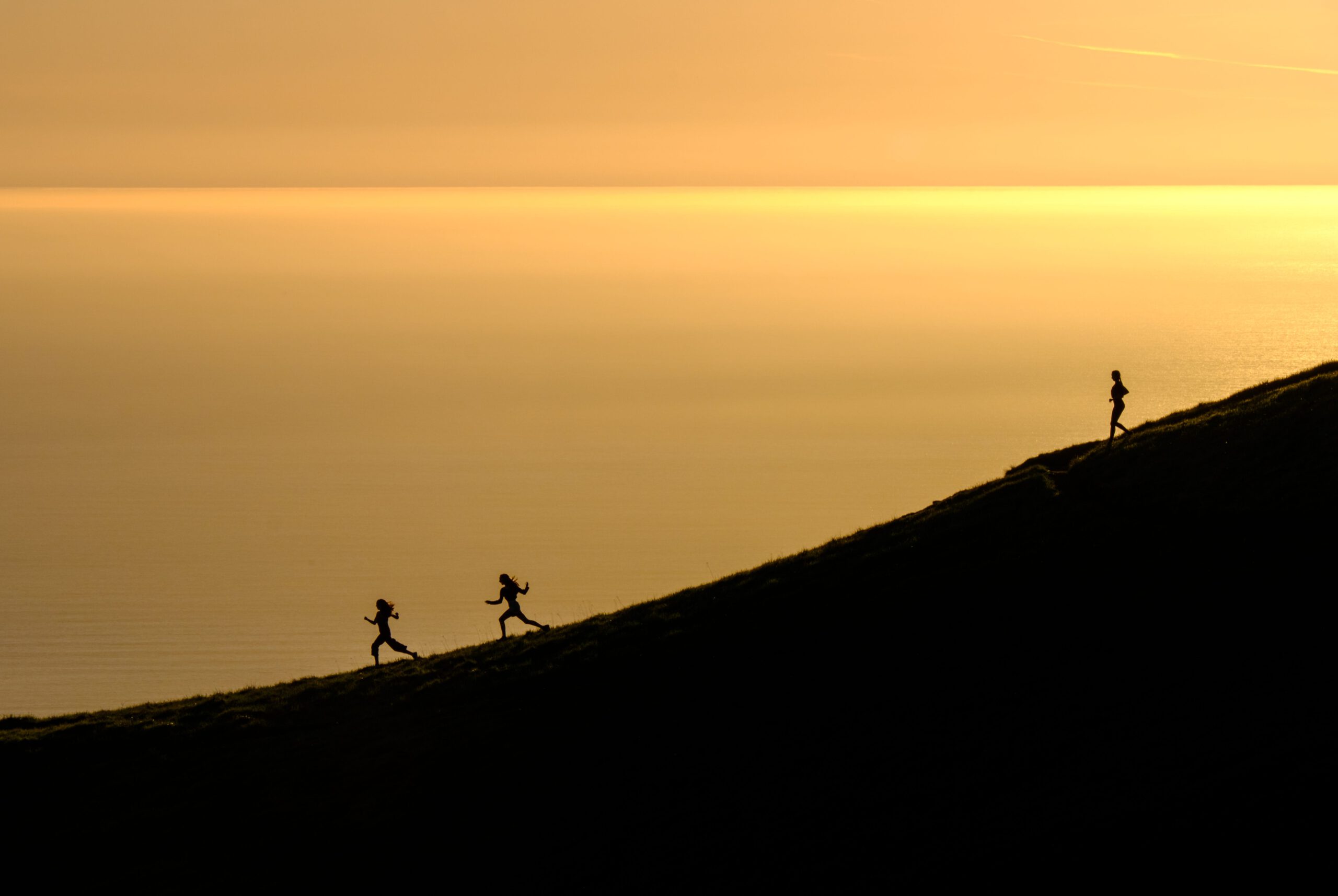 Photo by Todd Diemer on Unsplash
