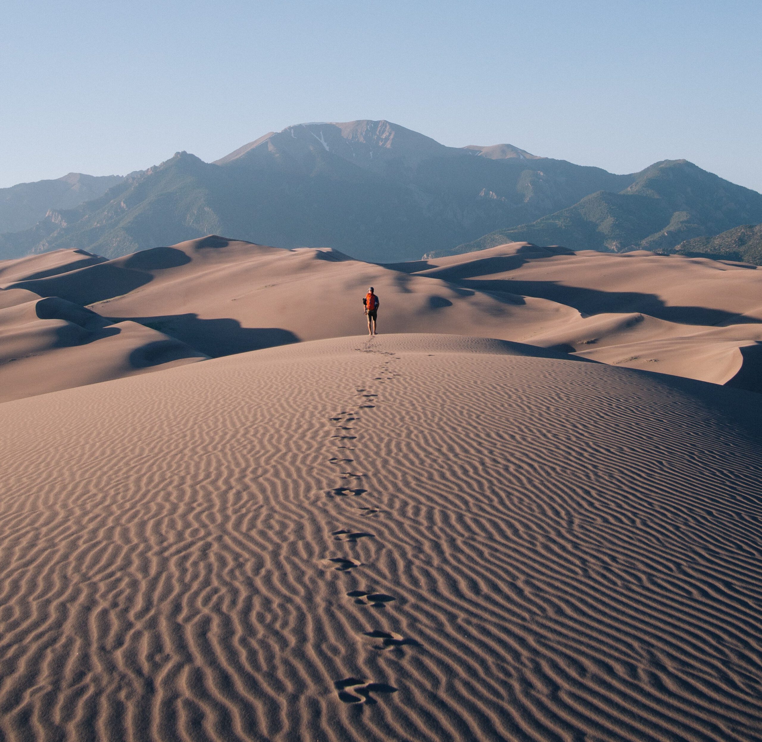Photo by Andrew DesLauriers on Unsplash