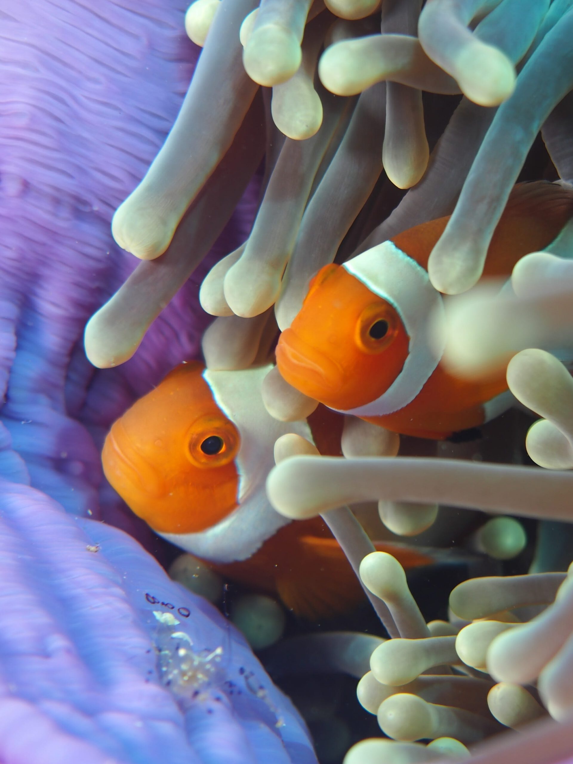 Photo by Swanson Chan on Unsplash
