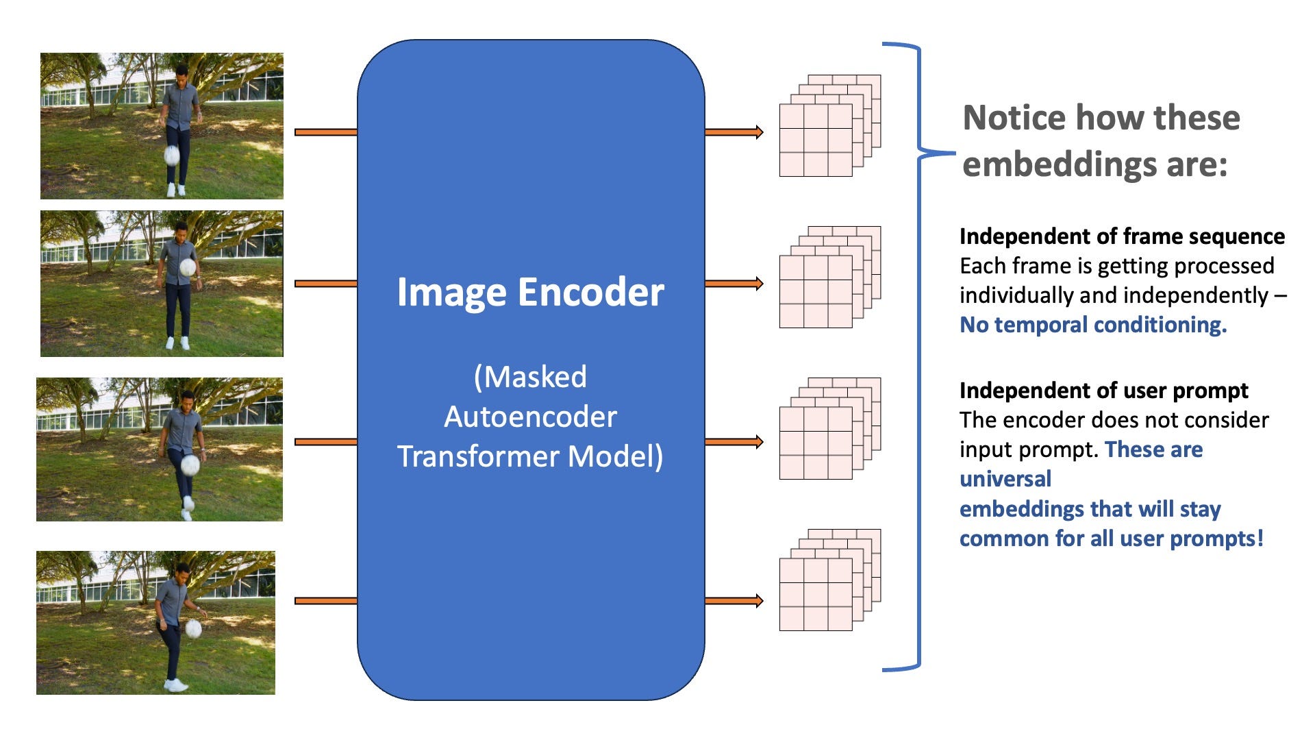 The frames from the input video are embedded using a pretrained Vision Transformer (Image by the Author)