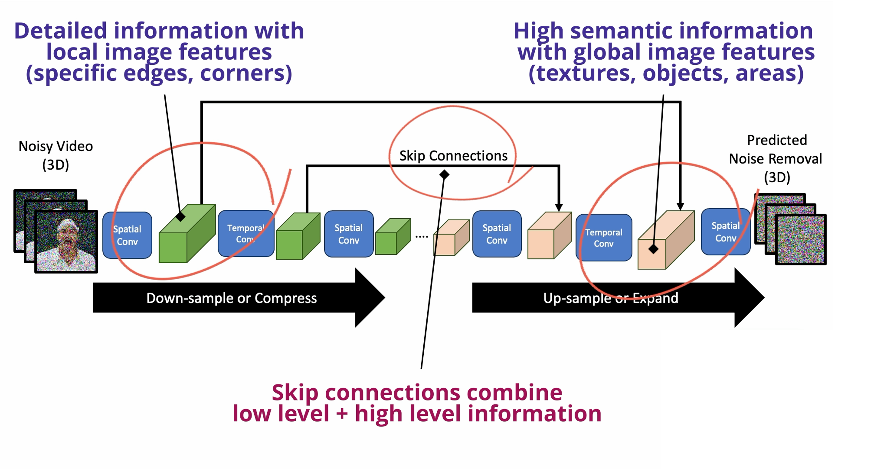 The 3D Factorized UNet Architecture [Image by Author]