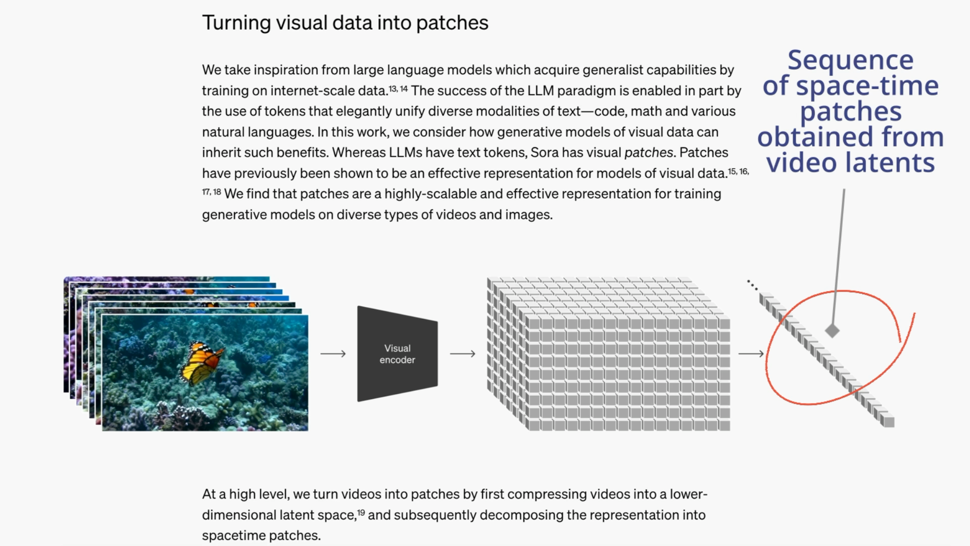 OpenAI SORA Video Preprocessing [Source: OpenAI (https://openai.com/index/sora/)] (License: Free)