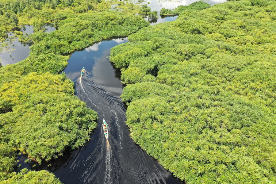 Boats on a river running through trees